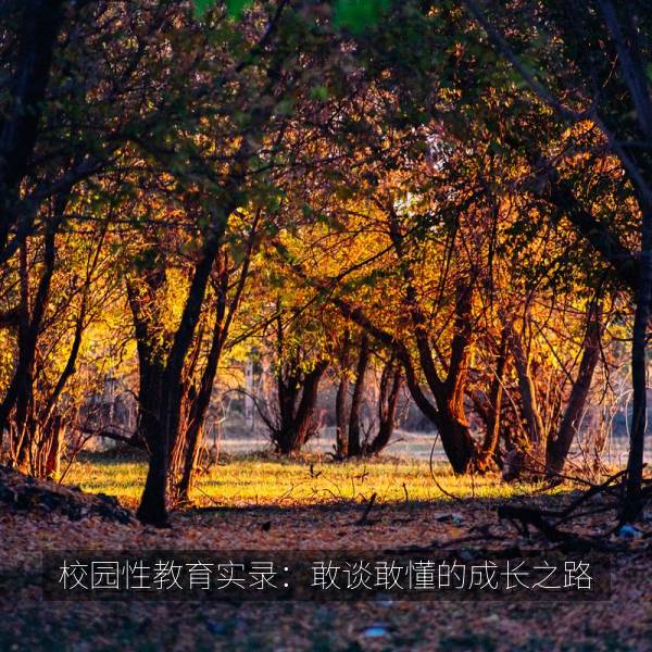 校园性教育实录：敢谈敢懂的成长之路 海报