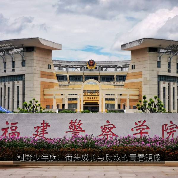粗野少年族：街头成长与反叛的青春镜像 海报