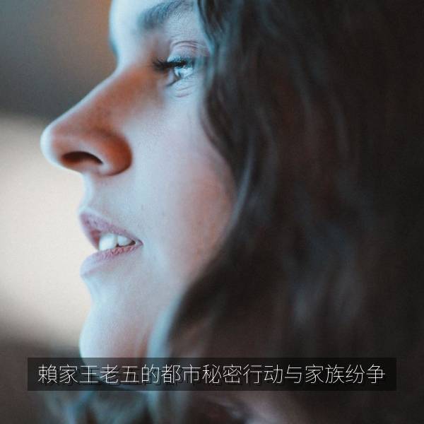 賴家王老五的都市秘密行动与家族纷争 海报