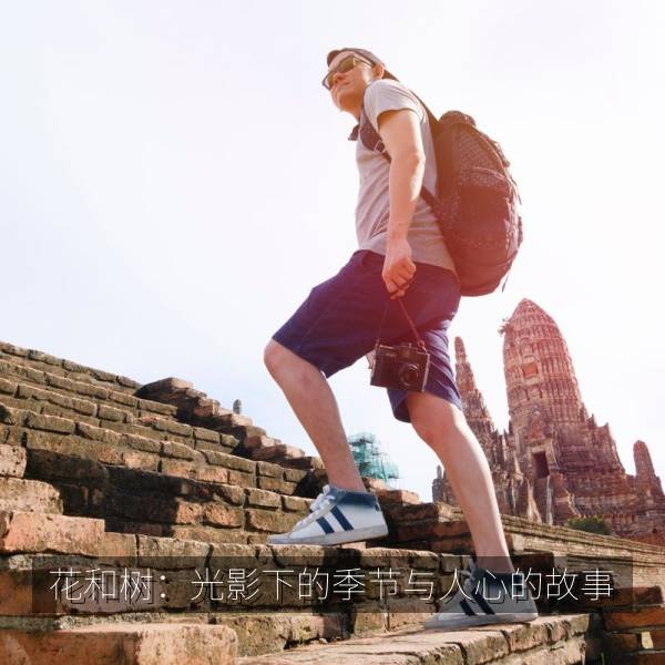 花和树：光影下的季节与人心的故事 海报