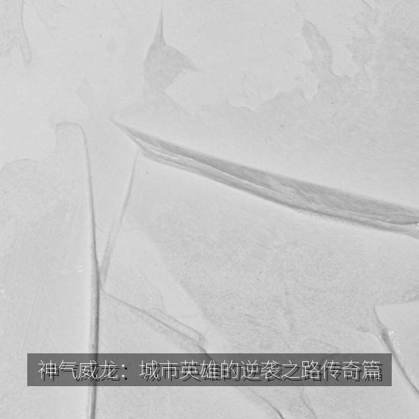 神气威龙：城市英雄的逆袭之路传奇篇 海报