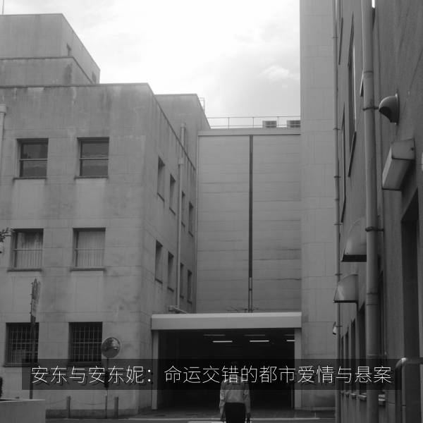 安东与安东妮：命运交错的都市爱情与悬案 海报