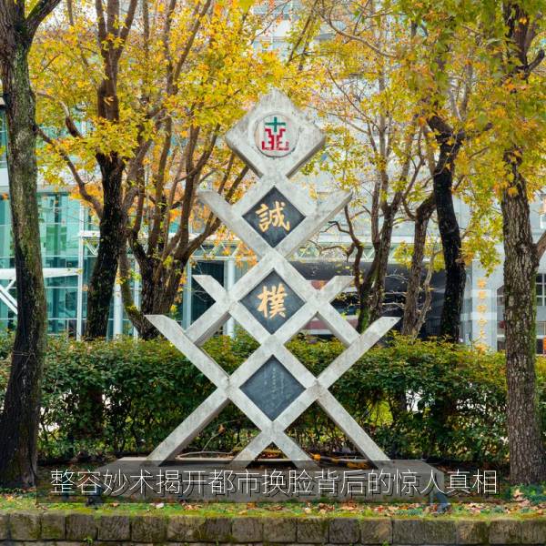 整容妙术揭开都市换脸背后的惊人真相 海报